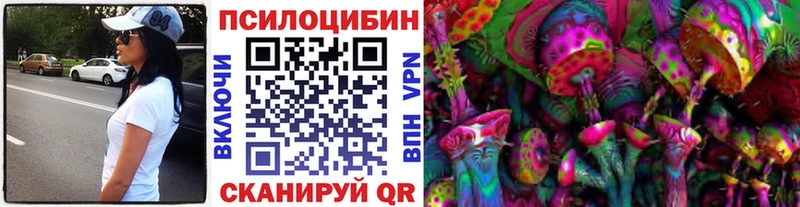 Галлюциногенные грибы Psilocybe  Михайловск 