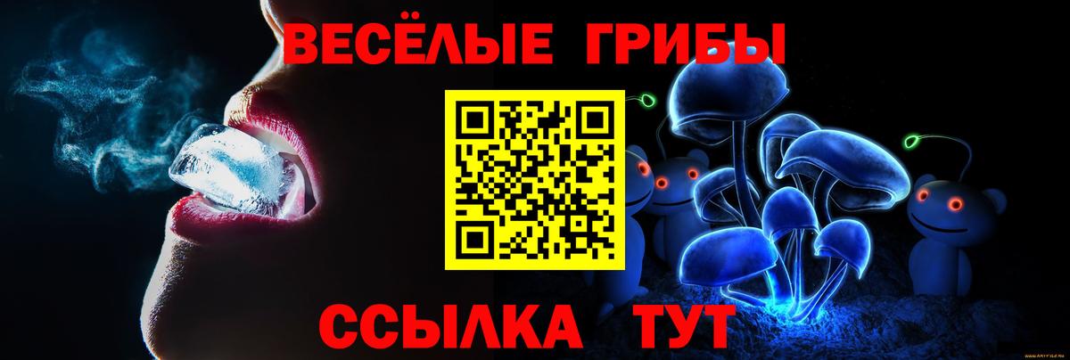 Псилоцибиновые грибы Psilocybe  Вход с VPN  Михайловск 