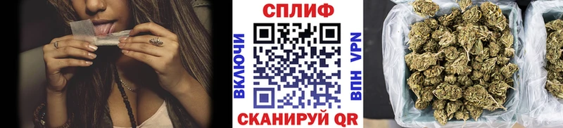 Конопля сатива  MEGA онион  Михайловск 